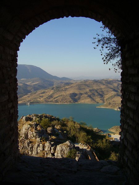 Яна Голикова