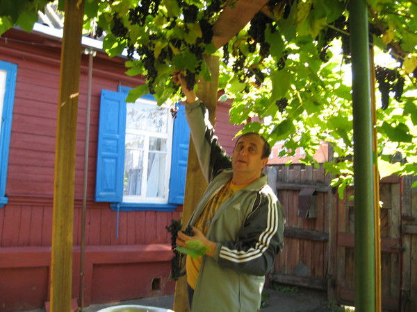 Александр Михайловский