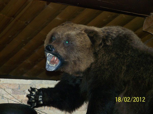 Татьяна Квятковская