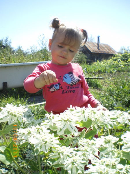 Анна Фомичева