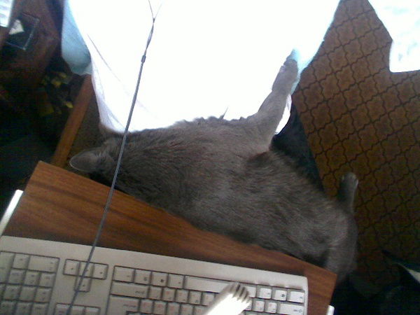 Александр .