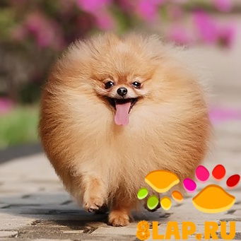 Марина Качалкина