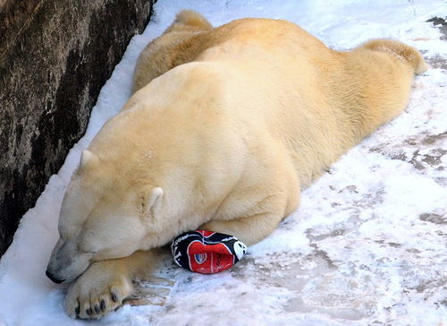 Миша Грозин