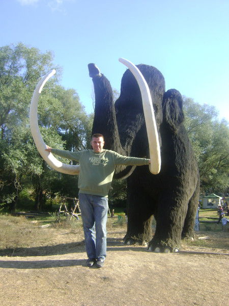 Виталий Залужный