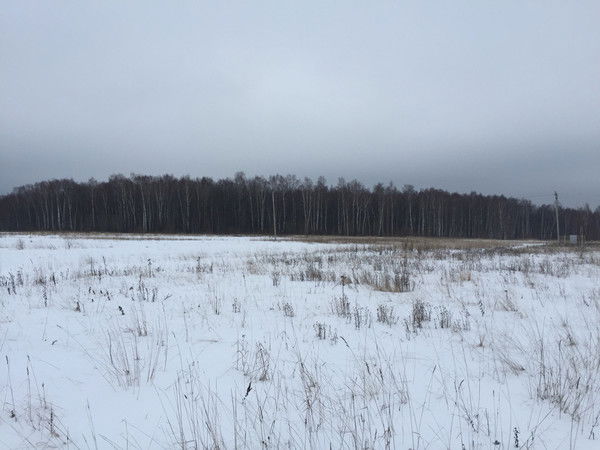 София Сокольская