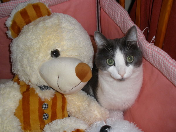 Ирина Ерошкина