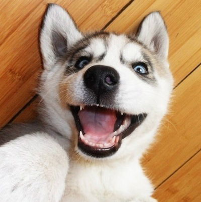 Лера Черноусова