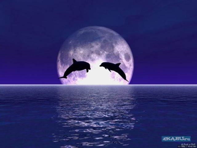 Хх Капучино Хх