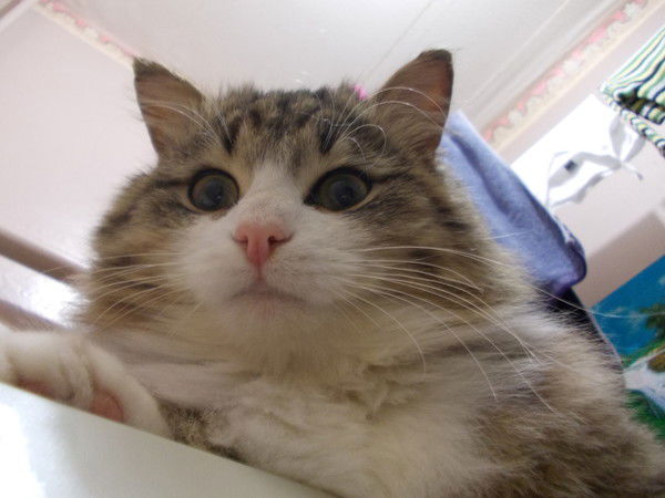 Дашулька Ибрагимова