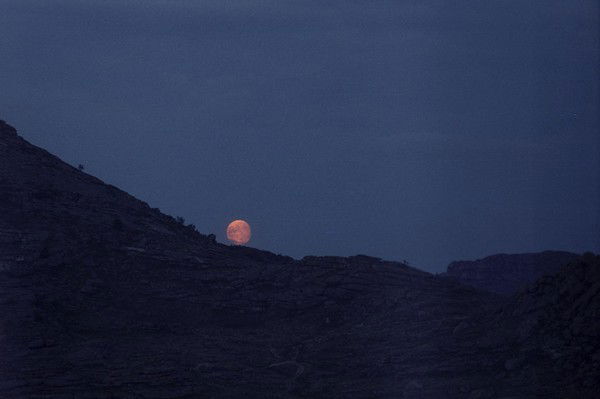Татьяна Васильева