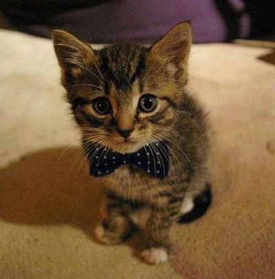 Даша Румянцева