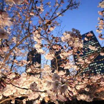 Ирина Макарова