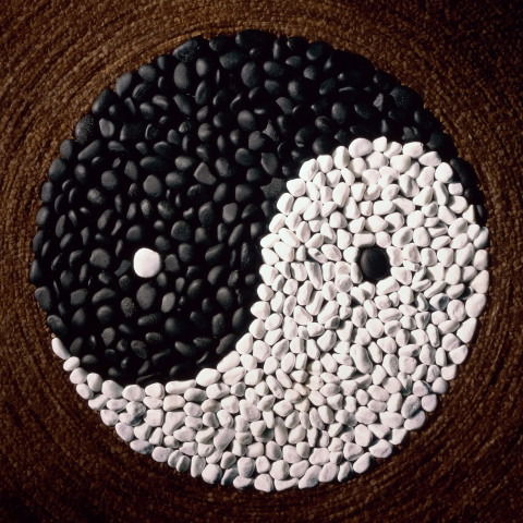 Ирина Компанеец