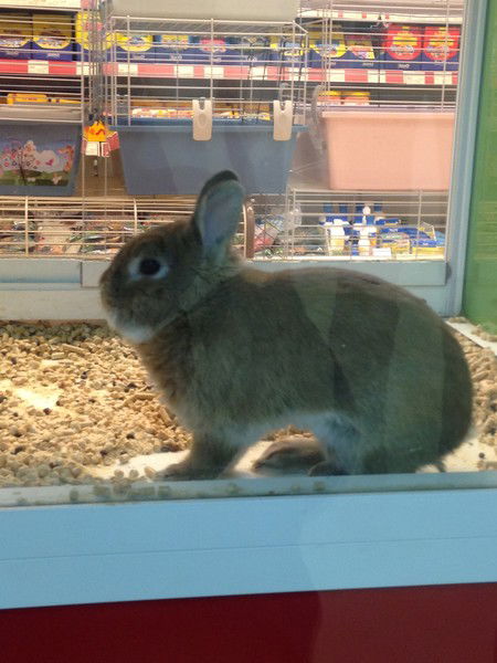 Адиля Акишева