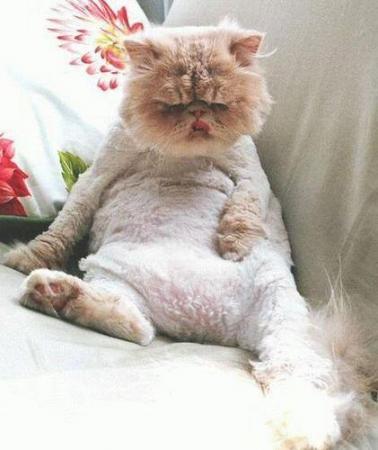 Александра Синицына