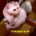 *benito* ****@ ***