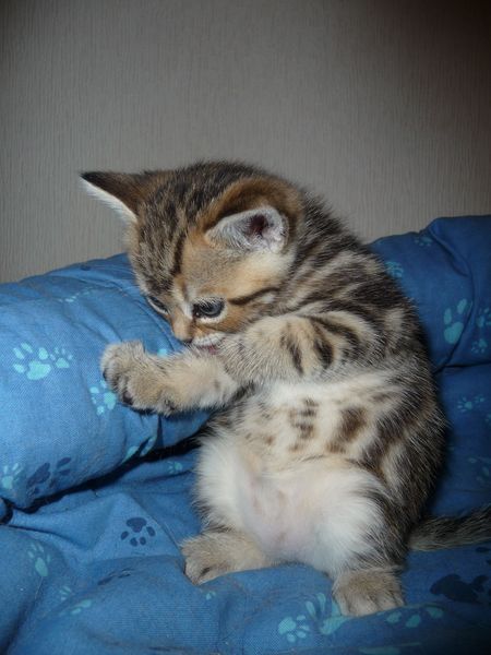 Андрей Китайчук