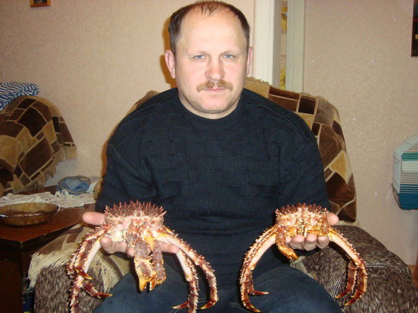 Владимир Шик