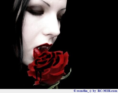 Елена Николаевна