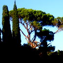 Еlena V