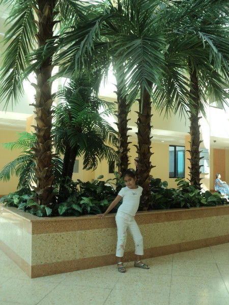 Ерке Ахметулла