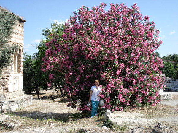 Валентина Тюрина