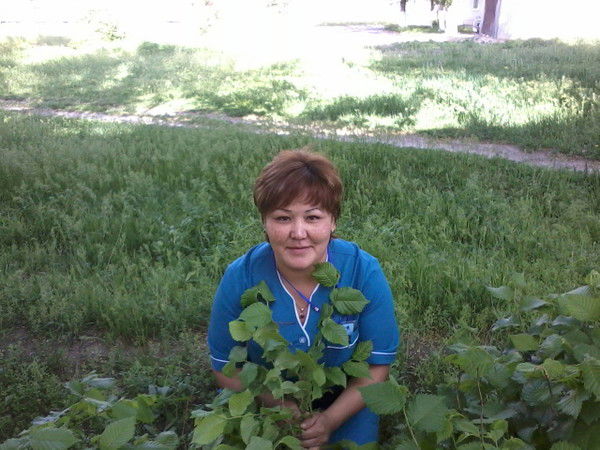 $$$Dina$$$ $$$@@@$$$