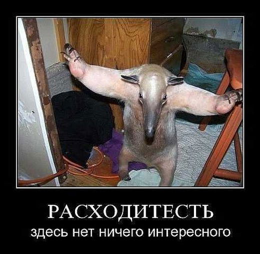 Максим Кулик