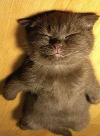 Максим Партеко