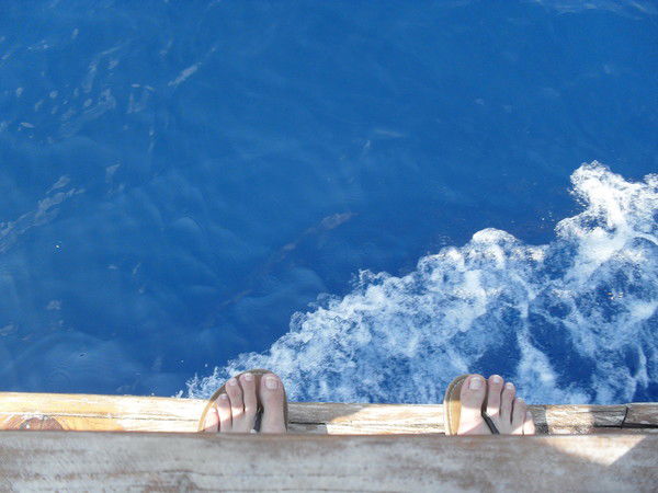 Анна Полякова