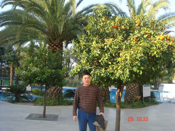 Вячеслав Ли