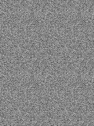 Вова Куркин