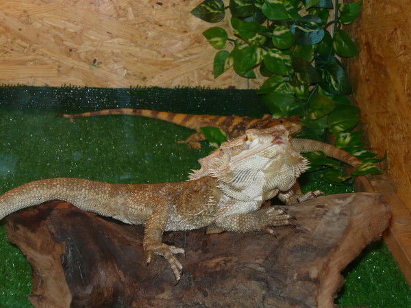 Нелли Жукова