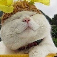 Анастасия Касаткина