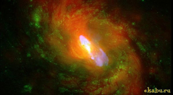 Нина Немцова