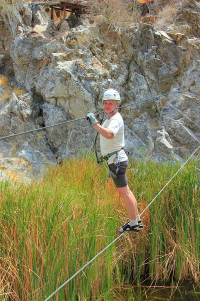 Елена Еронина