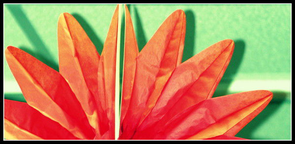 Дмитрий Соболь