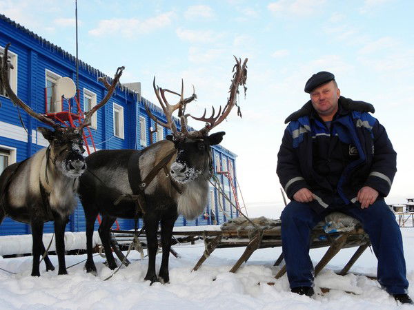 Геннадий Ложкин