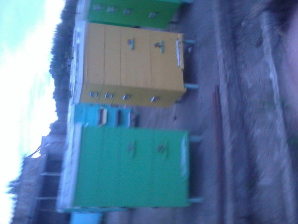 Виталий Кравченко