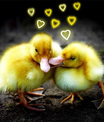 Антон Карпенко