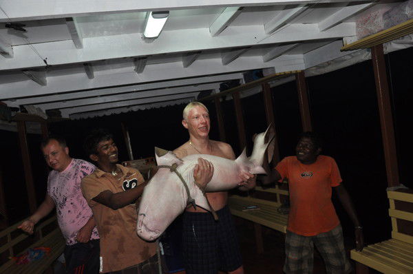 Владимир Щеглов