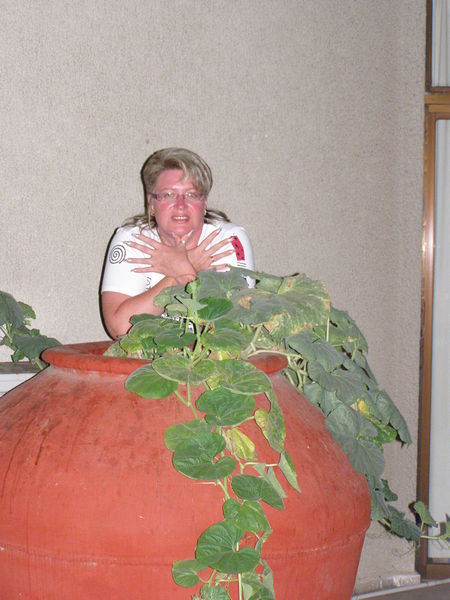 Наталья Ефремова