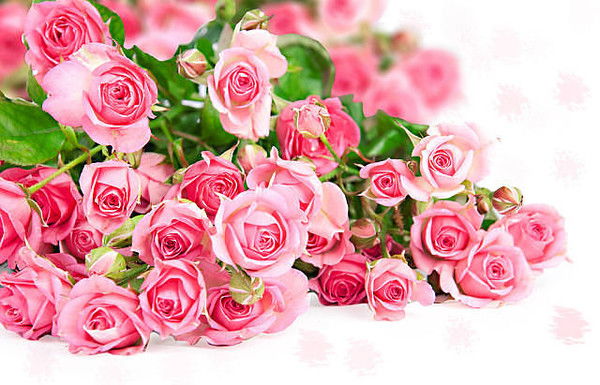 Людмила Балабан