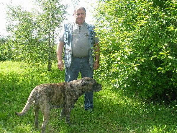 Михаил Дедков