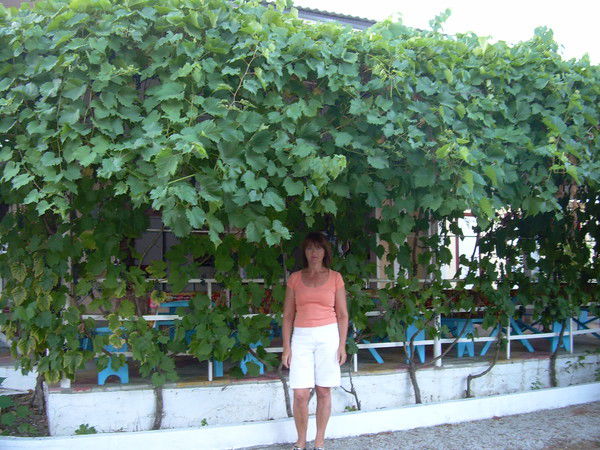 Наталья Титова