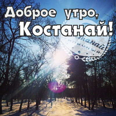 Ежик Затобольск