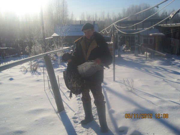 Михаил Шишмарев