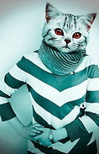 Регина Антошина