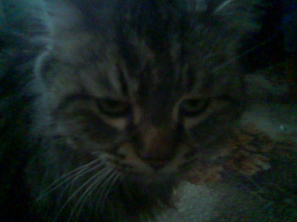 Рафик Шагитов