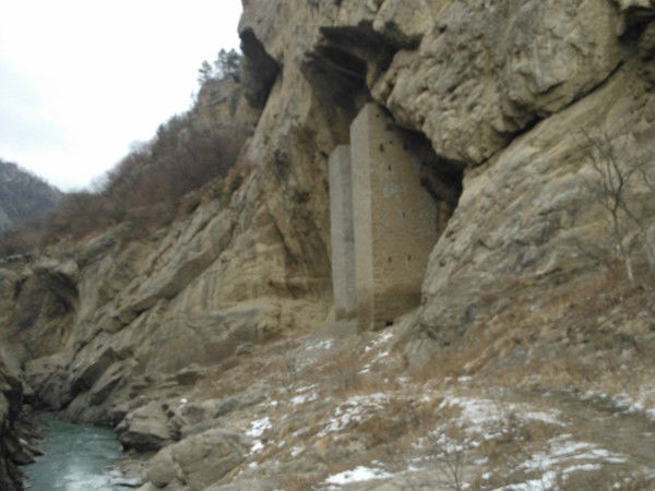 Экология Экология